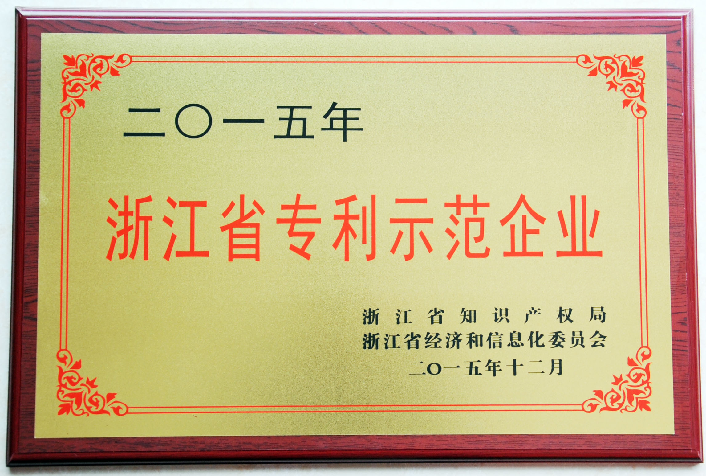 浙江省專利示范企業(yè)